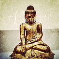 seated shakyamuni buddha