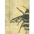 bee etching