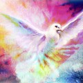 A Peace Dove by WBK