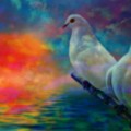 Doves On The Water by WBK