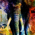 Elephant by WBK